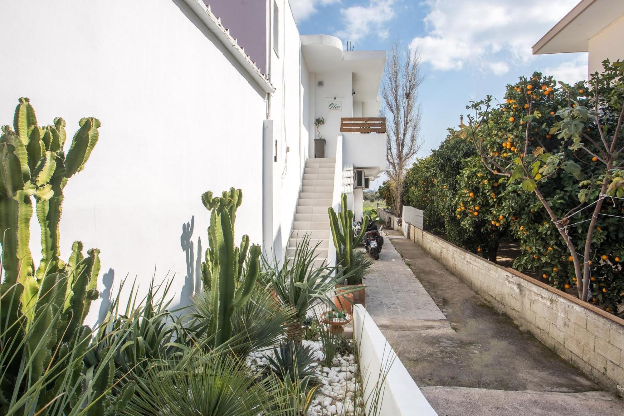 Olea Luxury Apartment Afantou Buitenkant foto